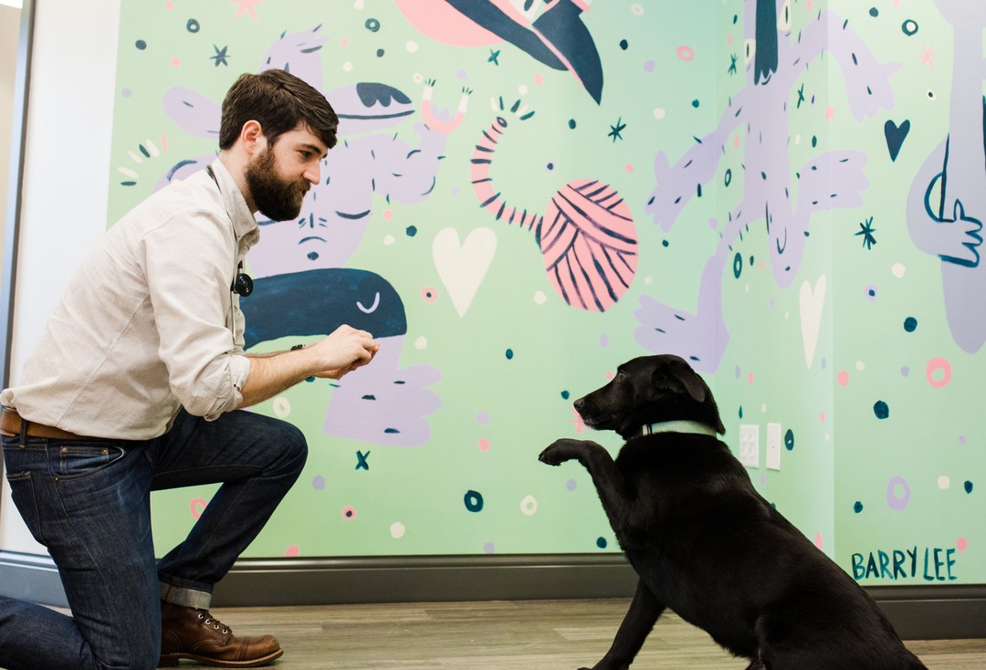 Common Companion Vet Co. Beltline Madison Yards