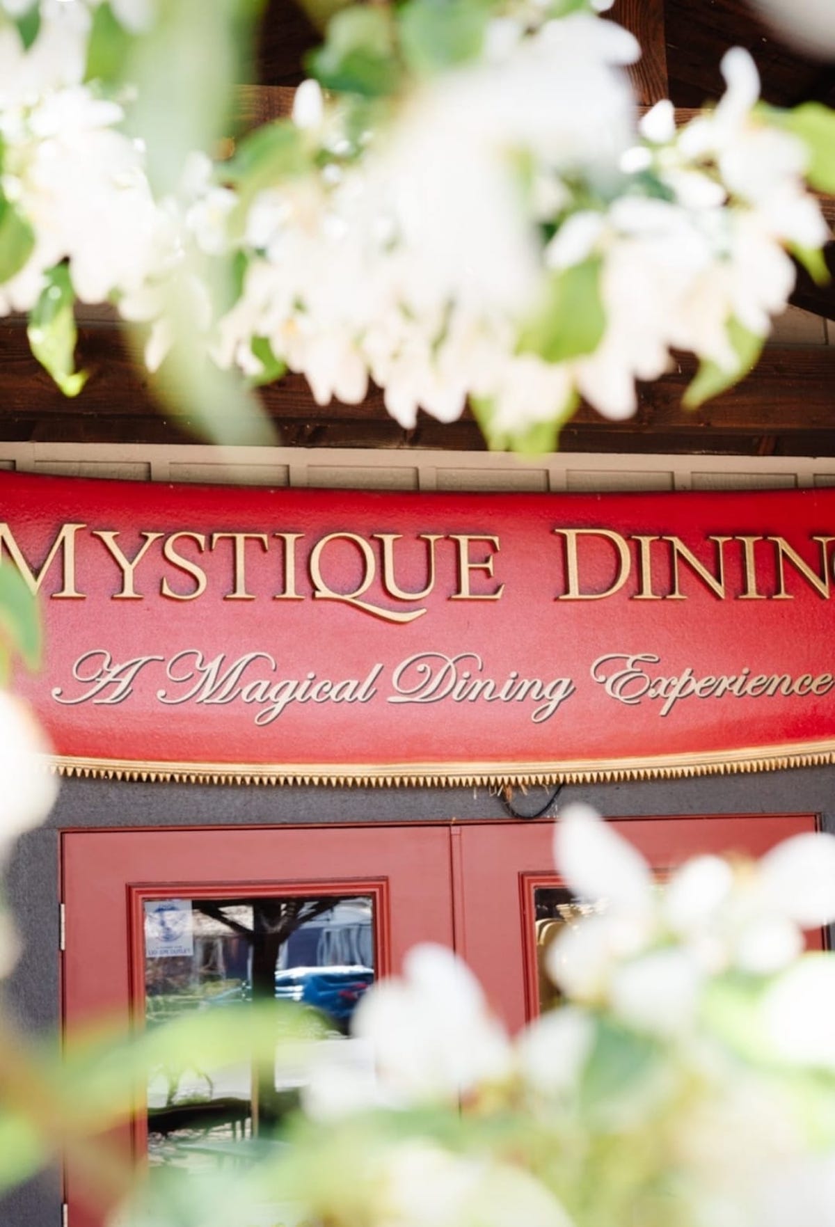 Magical Experience, Mystique Dining, Soon to Appear in La Jolla, California