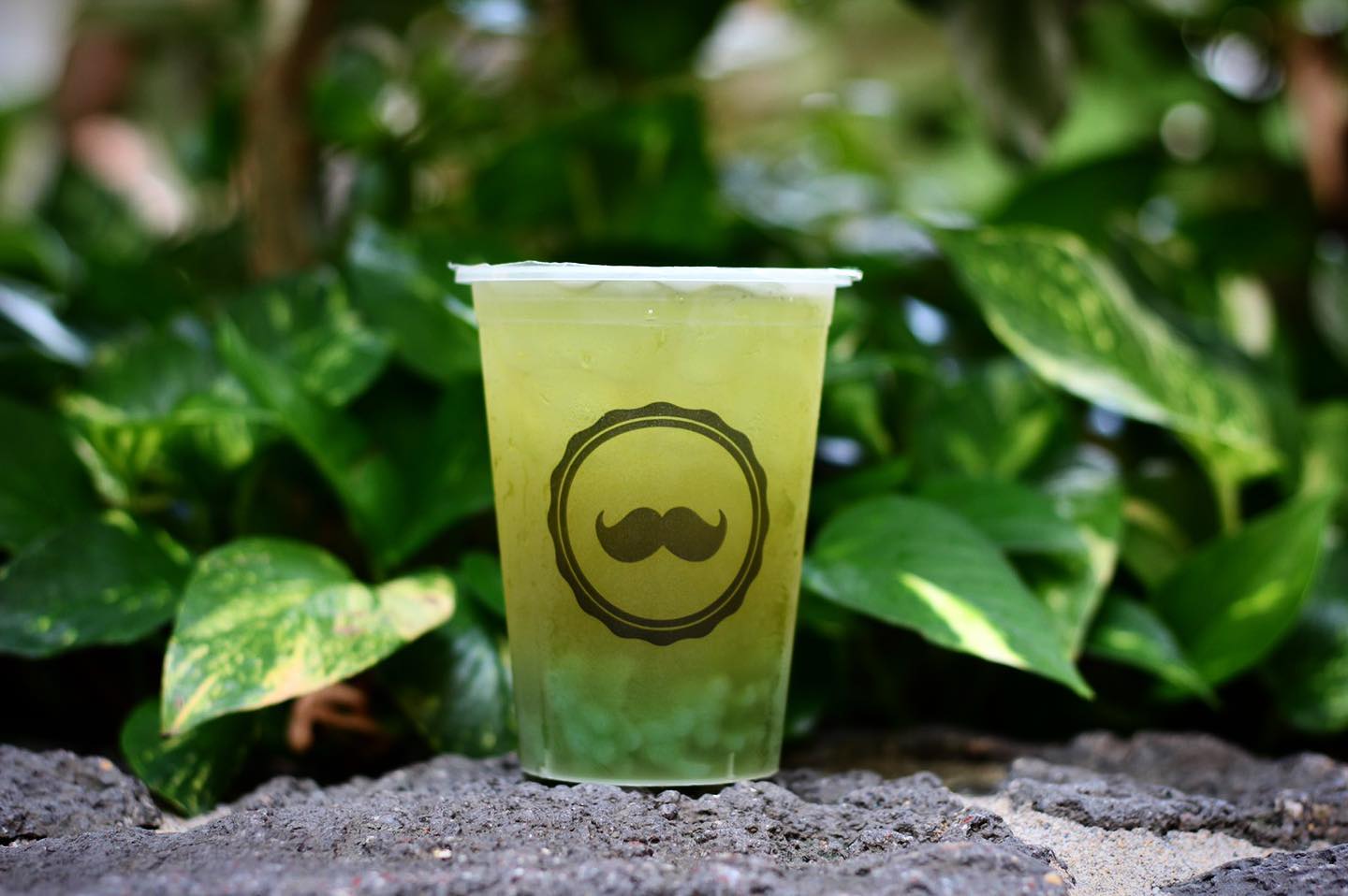 Honolulu Boba to Debut in Spring Valley