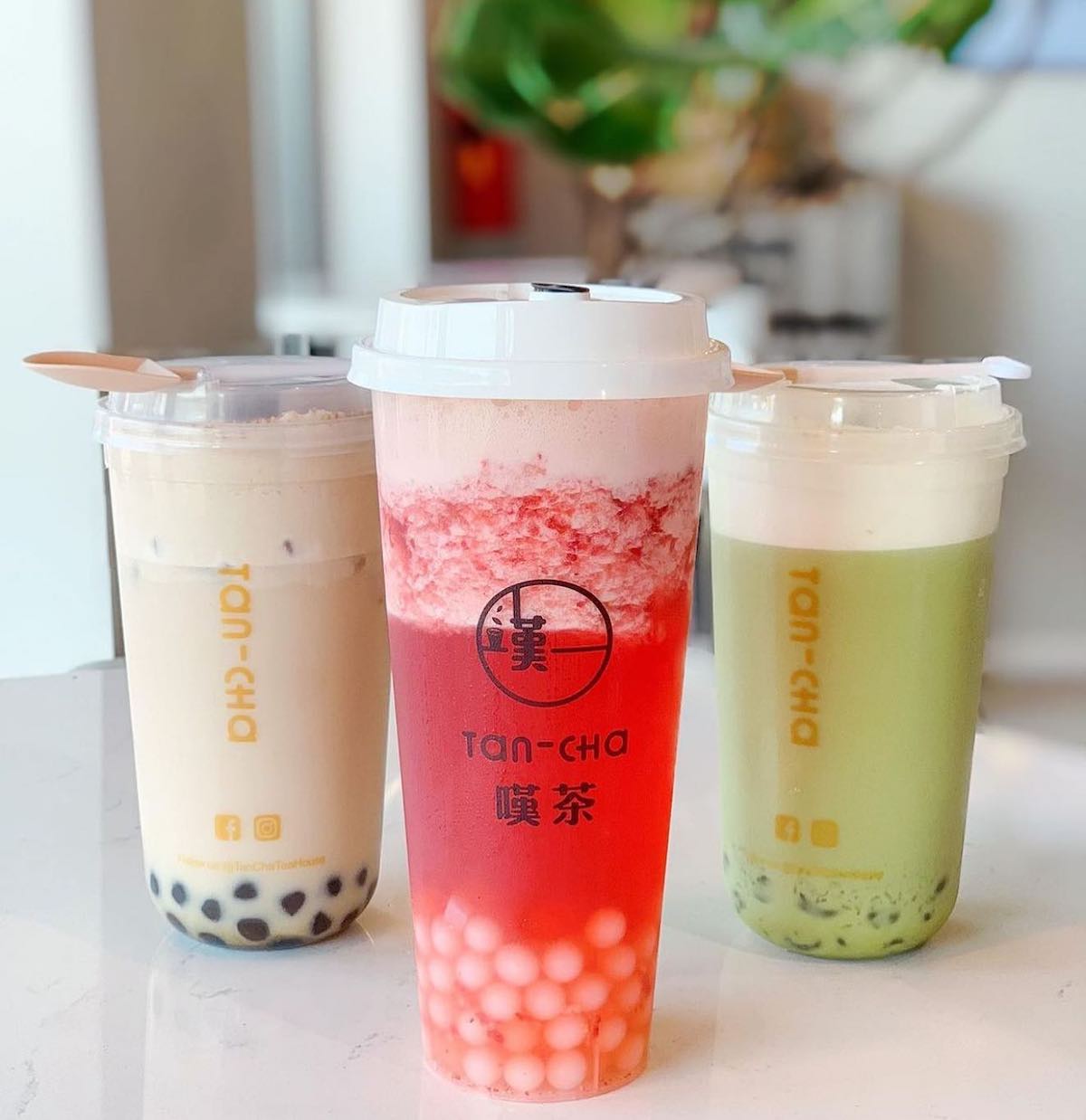 New Tan-Cha Location to Open in Buford_photo 1