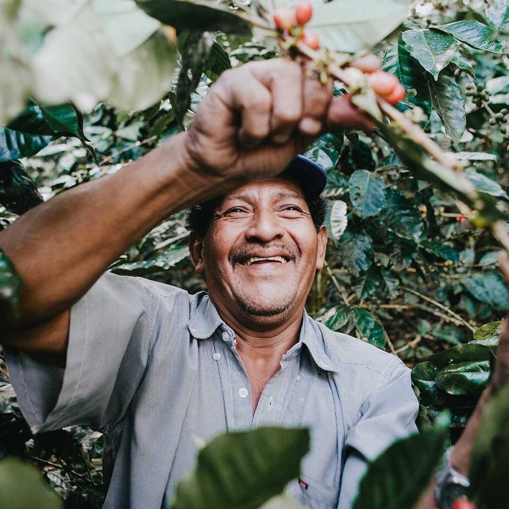Pachamama Coffee Has Plans Brewing in Berkeley