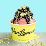 New York's Van Leeuwen to Open Scoop Shop in Uptown Dallas