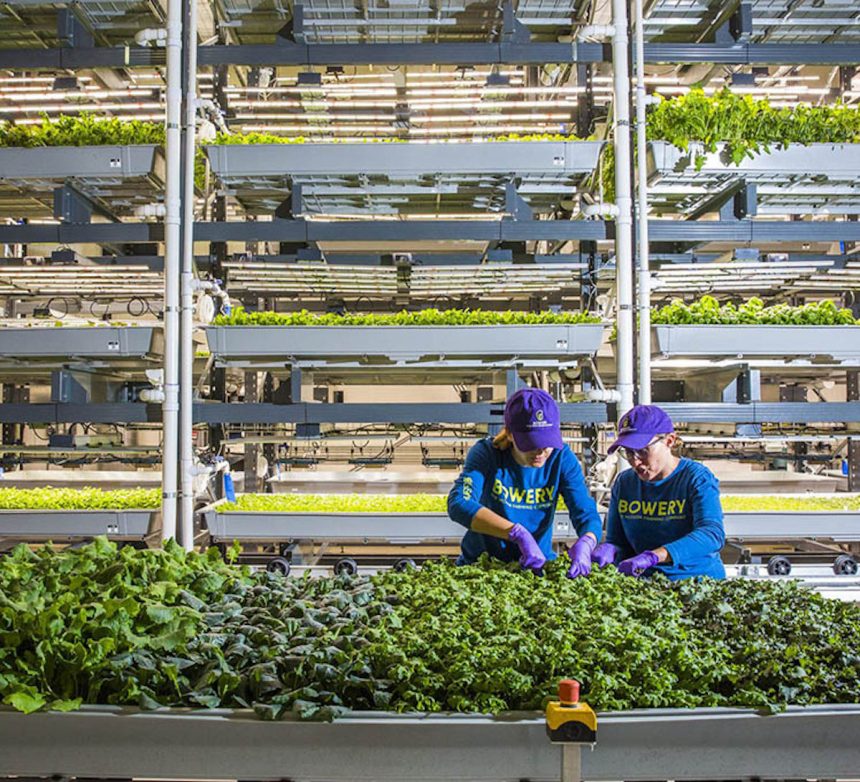 Bowery Farming Announces New 'Smart' Indoor Farm in Georgia
