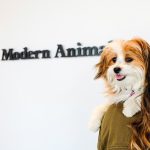 Modern Animal Bringing Reimagined Veterinary Care to the Bay Area in 2022