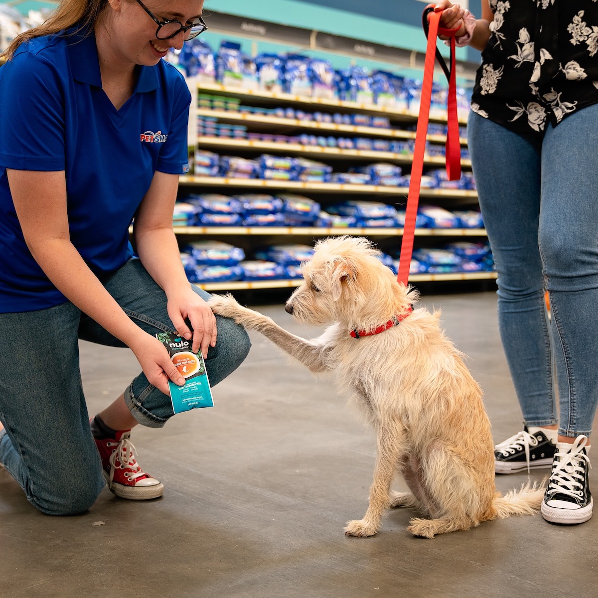 PetSmart Plotting New Location in Vallejo