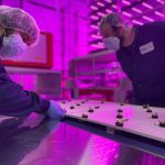 Kalera Opens New "Mile High" Vertical Farming Facility in Denver