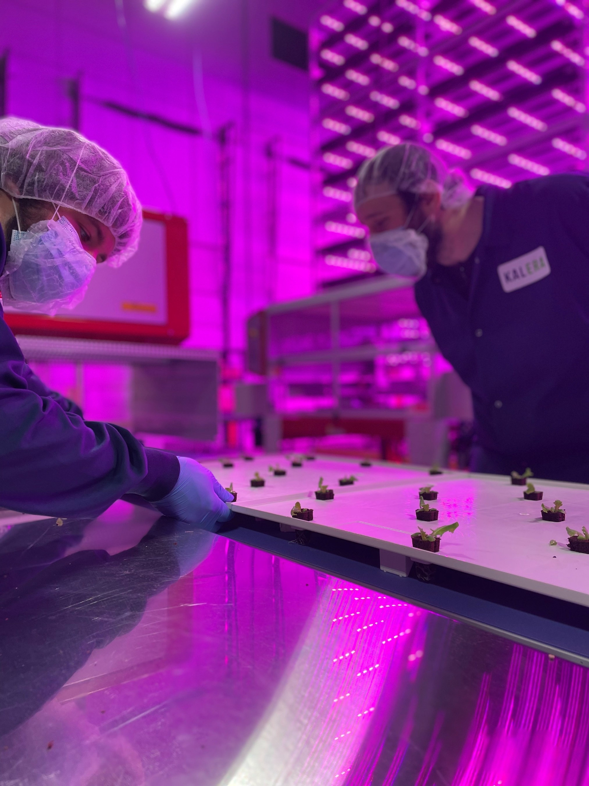 Kalera Opens New "Mile High" Vertical Farming Facility in Denver