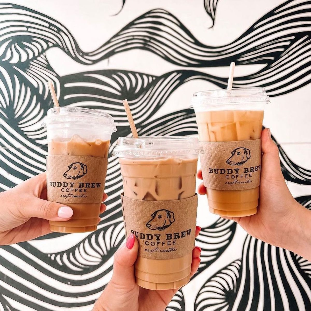 Buddy Brew Coffee Named as Cafe at New USF Honors Building