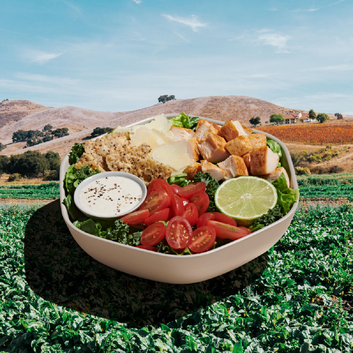 Yet Another sweetgreen Location to Grace Colorado