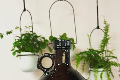 Bonsai Beverage Co. to Open Clearwater Storefront in January