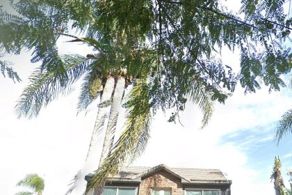 A Cottage-Like Cocktail Concept Will Soon Replace Chimbas Sports Bar