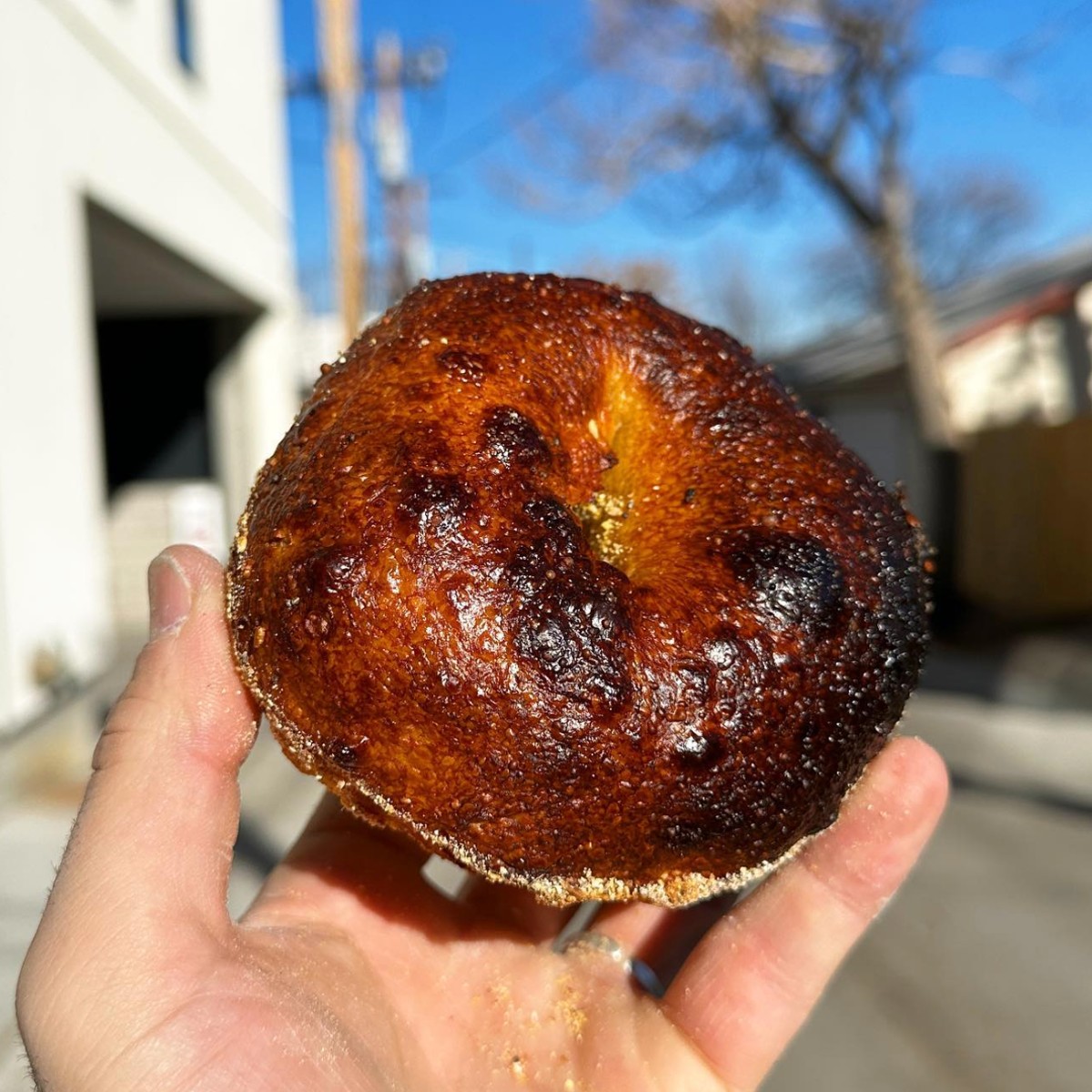 A Rich Spirit sourdough bagel.