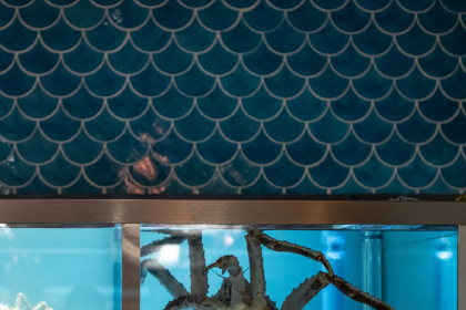 Angler to Reopen in 2023