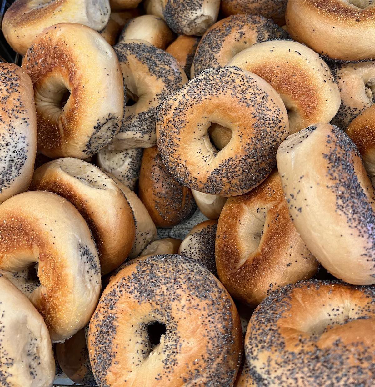 Rapidly Expanding Bagel Shop Boichik Bagels Is Coming to Santa Clara