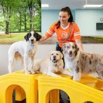 Dogtopia of Park Lane “Gets a Leg Up” on the Local Doggy Daycare Scene