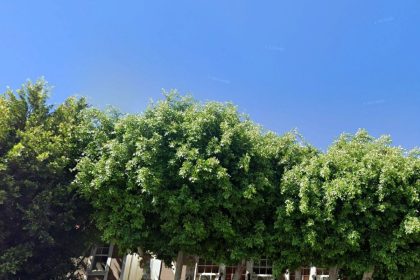 Prominent Restaurateur Ravi DeRossi Will Open an African Concept Come Summer