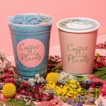 LOS ANGELES’ FIRST PLANT-BASED COFFEE SHOP, COFFEE AND PLANTS TO EXPAND AND OPEN ITS SECOND LOCATION IN STUDIO CITY ON APRIL 30th