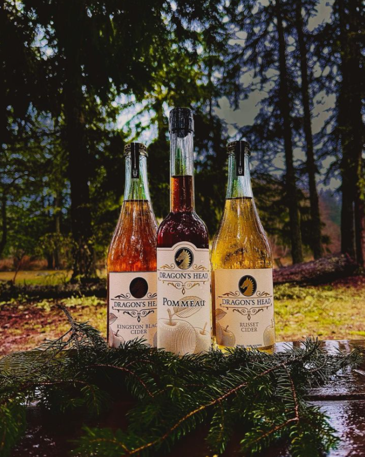 Dragon's Head Cider Will Soon Expand With a Second Location in Vashon