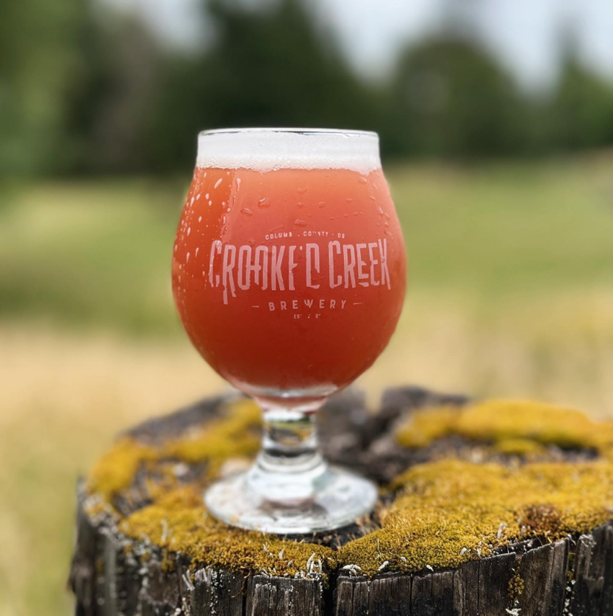 Crooked Creek Brewery Will Soon Move To a Bigger Location in Saint Helens