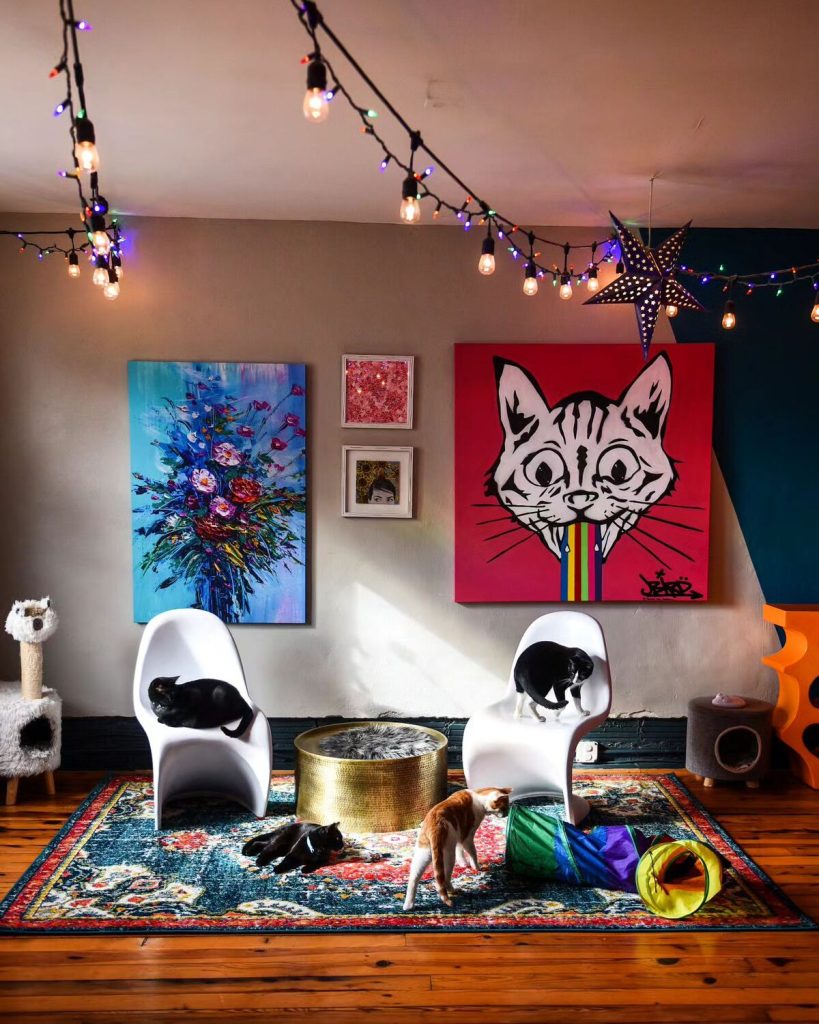 Mac Tabby Cat Cafe Expanding to Salisbury Next Year