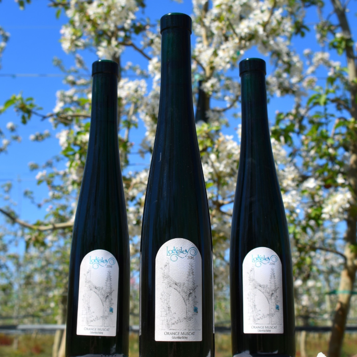 Recusant Cellars Will Soon Open Its First Tasting Room in Kennewick