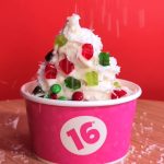 Entrepreneurial Family Ventures Into The World Of Frozen Yogurt-1