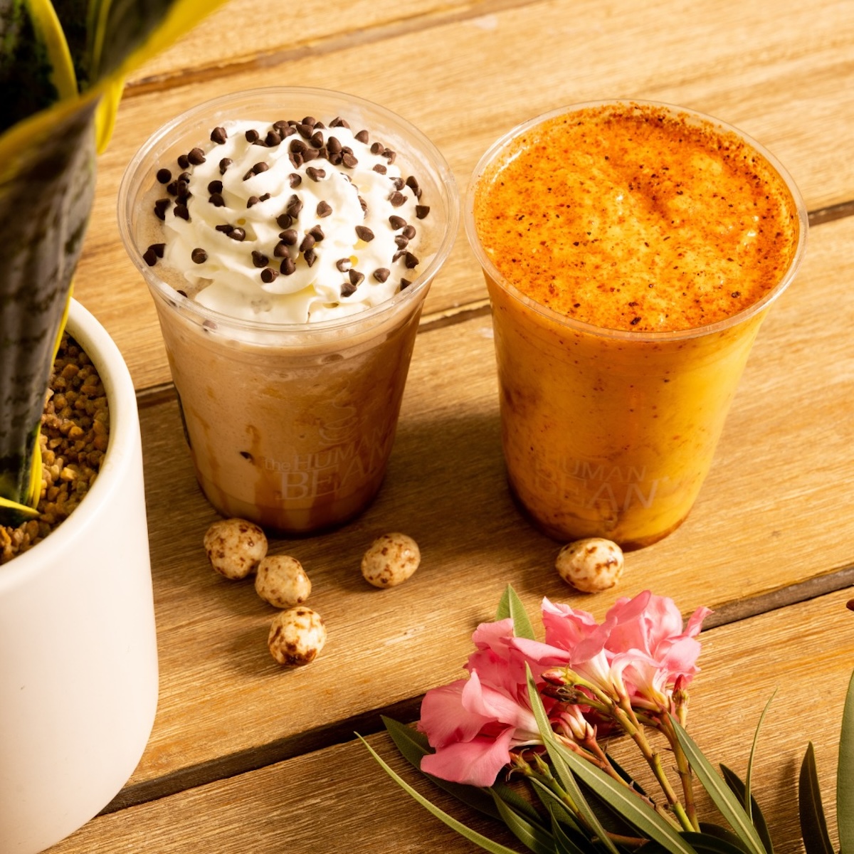 The Human Bean Opening Soon in Roswell Photo 01