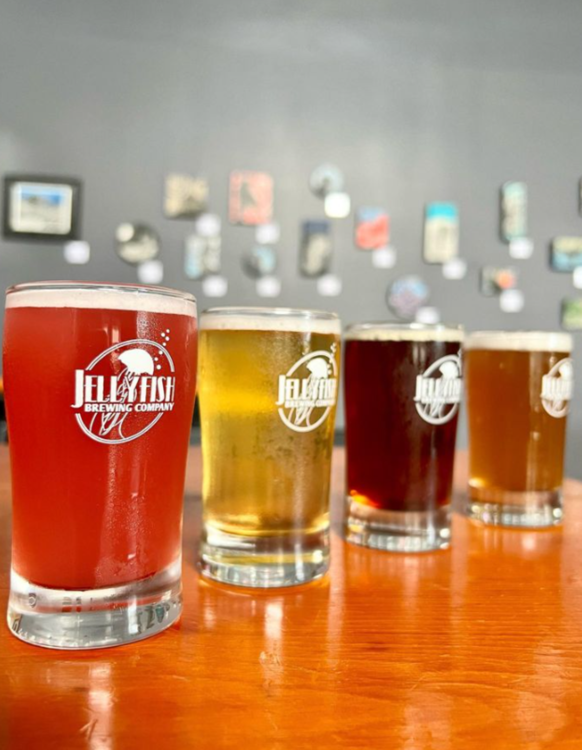 Jellyfish Brewing Slated to Expand With Another Location in the Green Lake Area