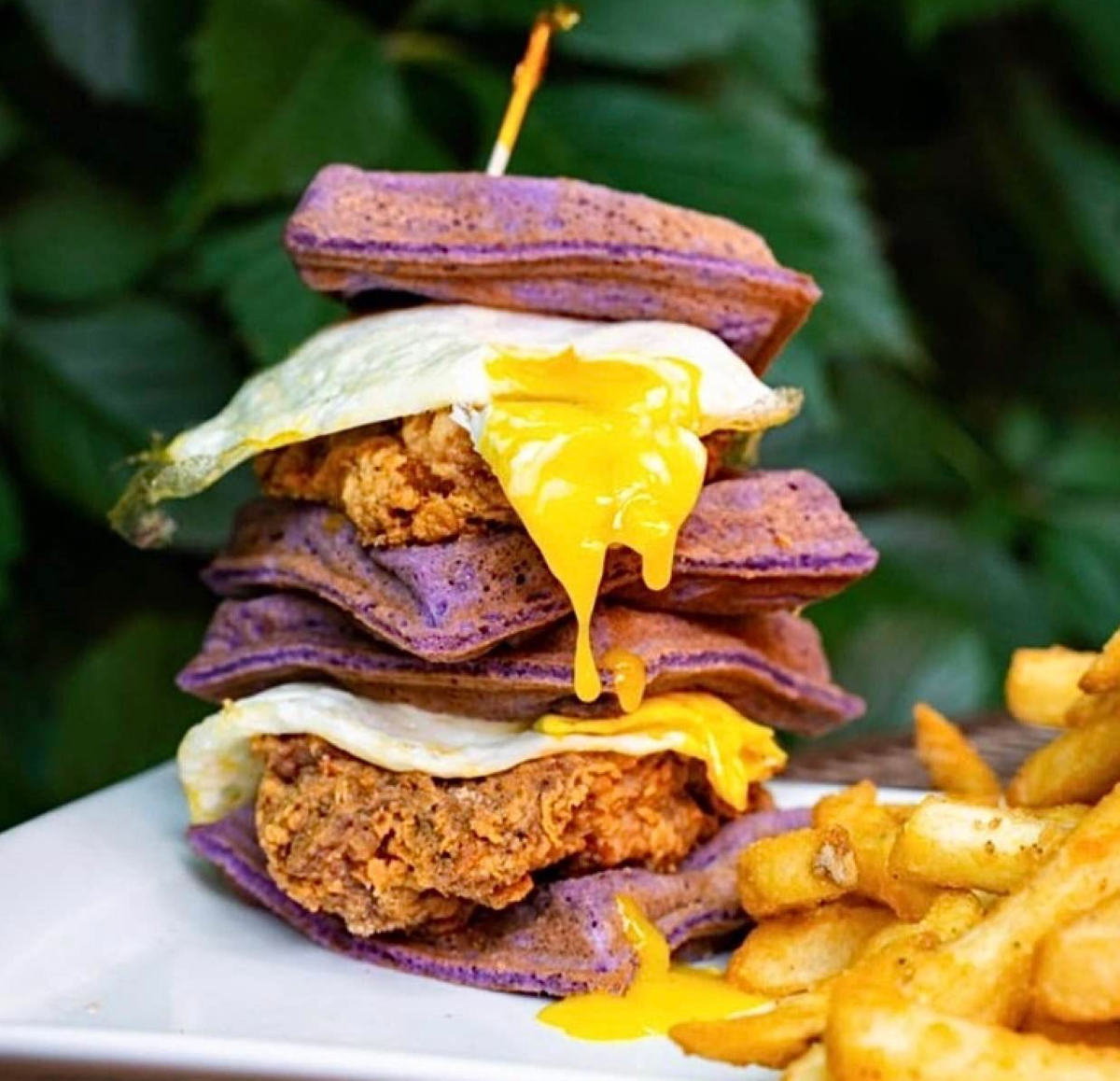 Cebu Will Move to Lakeview Later This Year