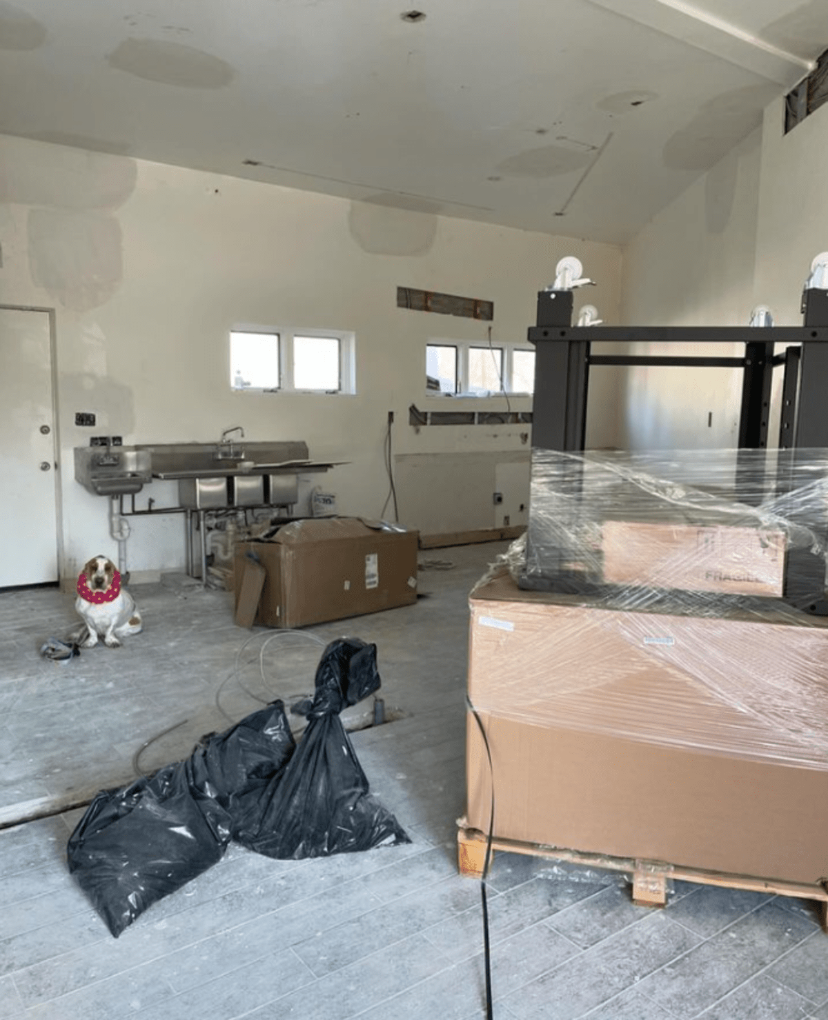 Red Hound Pizza Bringing Superior Pies and Slices to Takoma Park