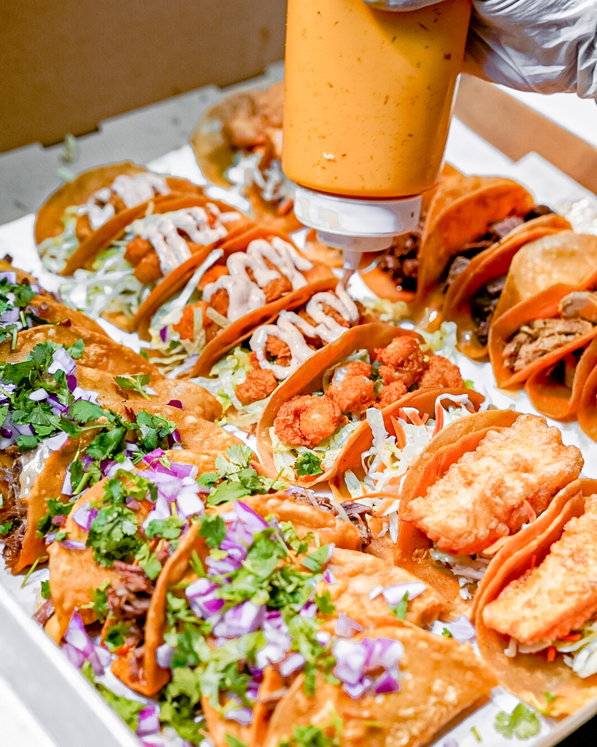 First 100 In Line Get Free Tacos, UNF Cheerleaders, Mariachi Band + More - Grand Opening May 31