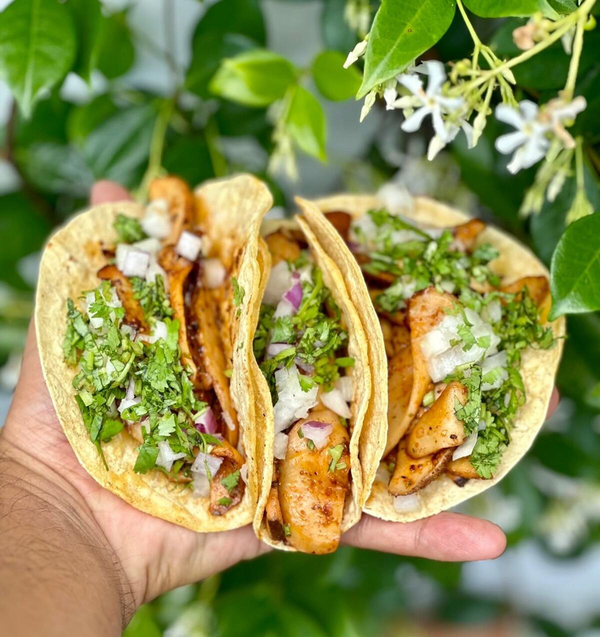 Sublime Tacos Getting Ready to Launch Food Truck