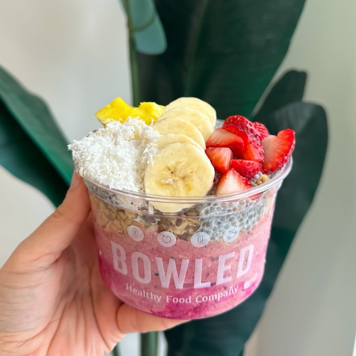 Bowled Healthy Food Company Expanding with Three New South Carolina Locations
