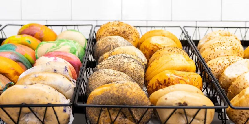 Bagels and Co. Working on New Site at Hub On Campus Gainesville