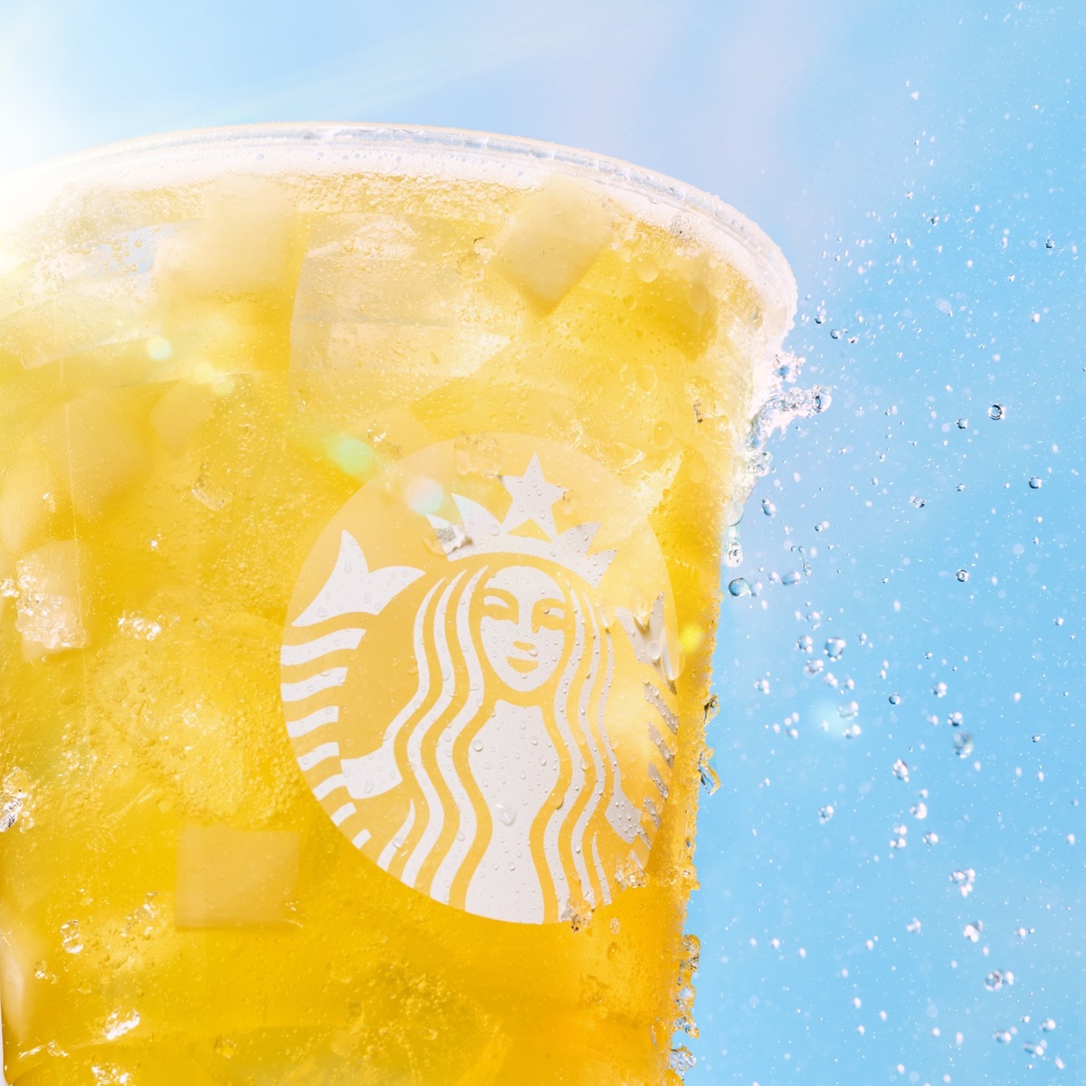 New Northern Virginia Starbucks in the Works