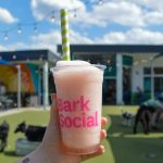 Bark Social Debuting in California