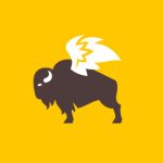 Buffalo Wild Wings GO Set For FM 1960