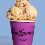 Van Leeuwen Ice Cream Expanding Into the Fenway