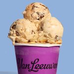 Van Leeuwen Ice Cream Planning Another Dallas Location