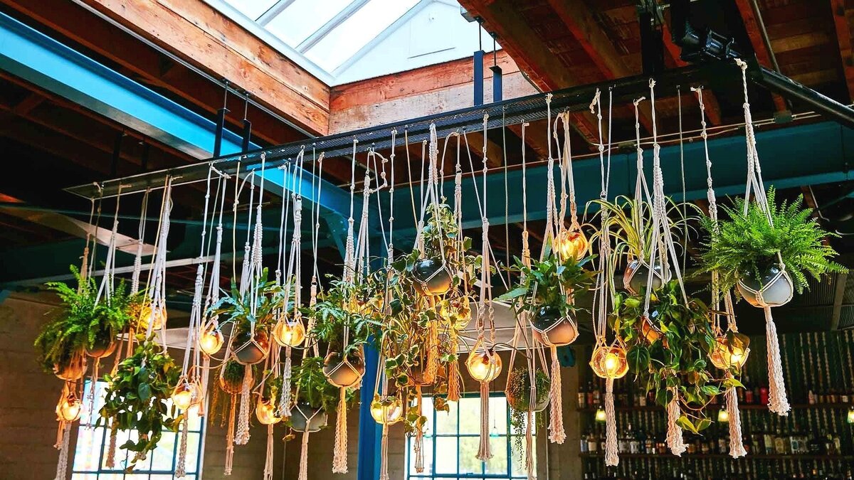 The Rose Venice Prepares to Close on Dec. 15