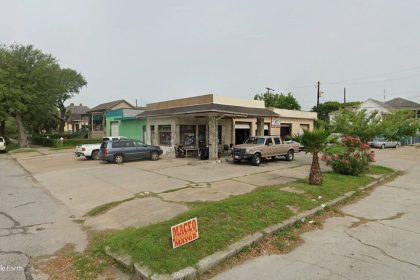 Local Dogs Leashes Up A Location In Galveston