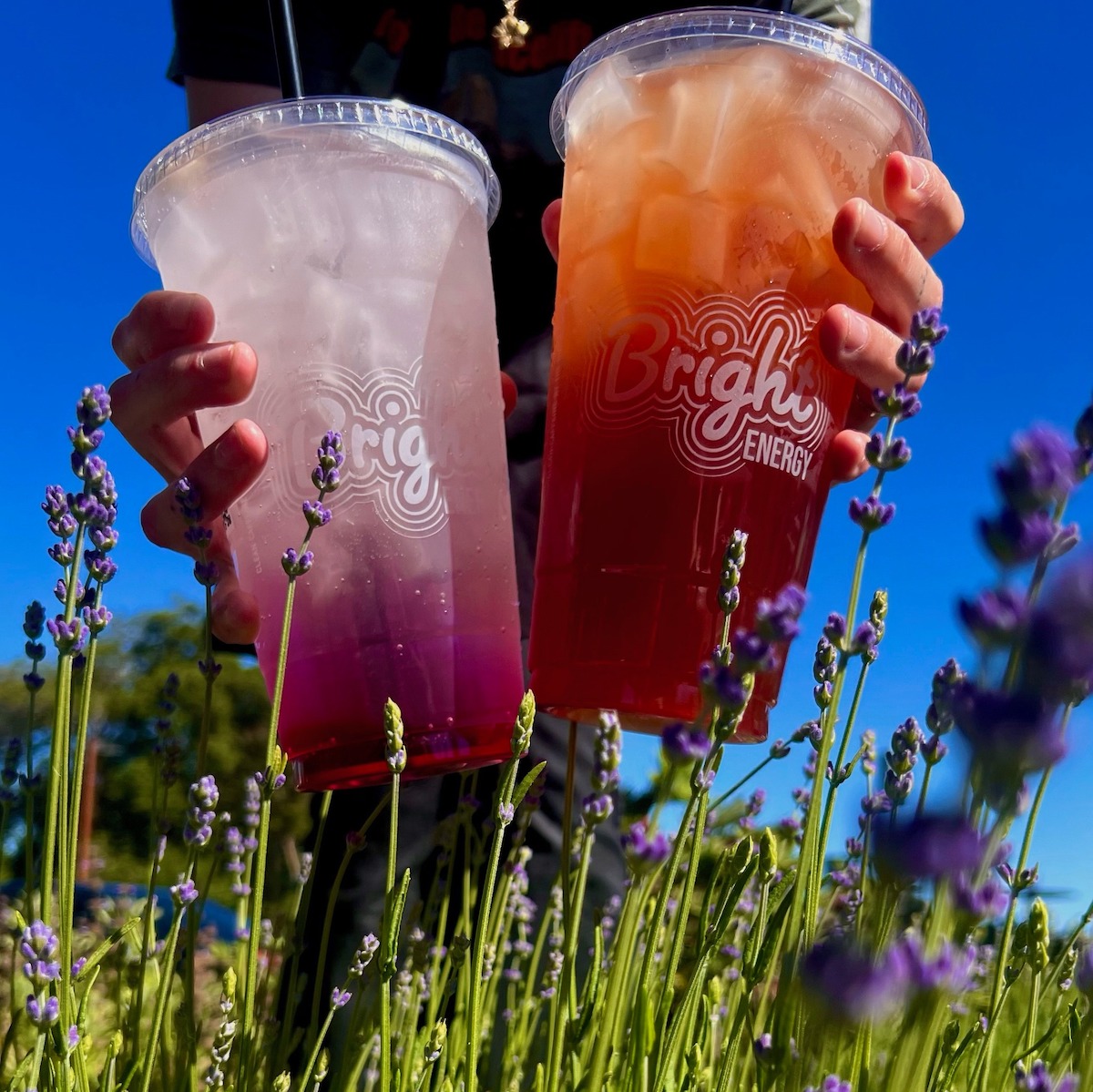 The Human Bean Expanding San Antonio Footprint