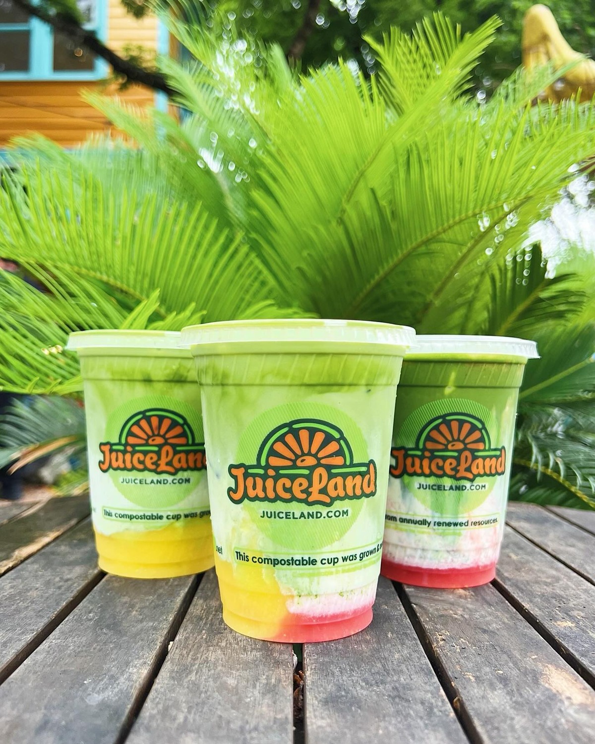 JuiceLand Bringing Healthy Options to Forth Worth