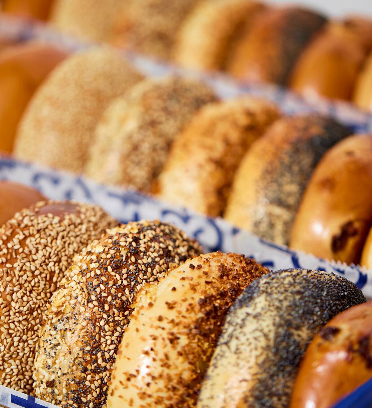 H&H Bagels to Open 10 Locations in San Diego and Orange County