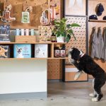 Yardstick to Open Premier Boutique Dog Hotel in Dallas Design District this February