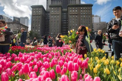 Flower Bulb Day