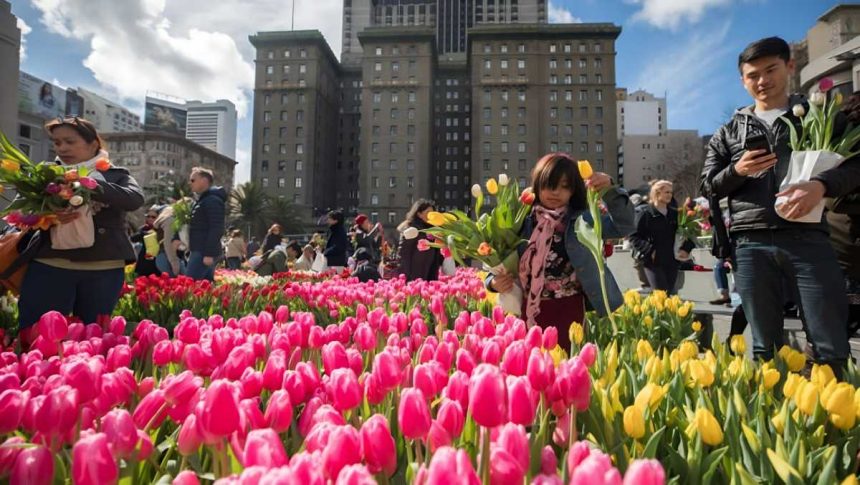 Flower Bulb Day