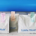 Little Wolf Coffee Eyes South Boston Expansion