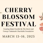 Cherry blossom festival