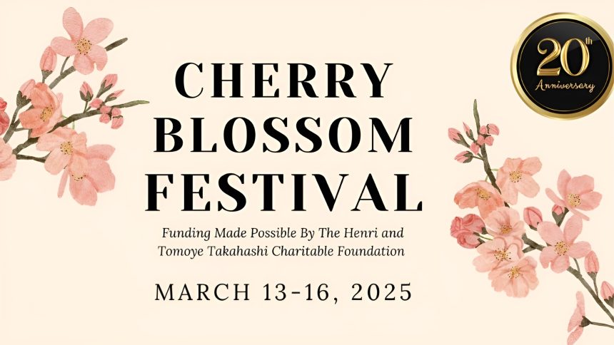 Cherry blossom festival